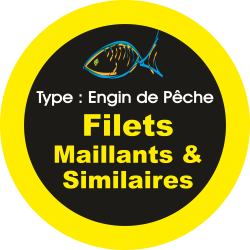 Adhésif engins de pêche -...