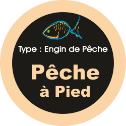 Adhésif engins de pêche -...