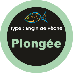 Adhésif engins de pêche -...