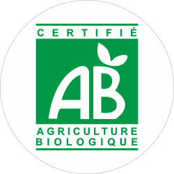Adhésif A.B vert sur blanc