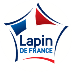 Adhésif Label Lapin de...