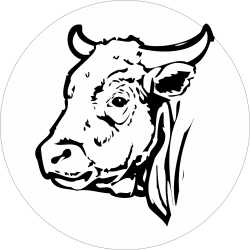 Adhésif tête animal - Bœuf...