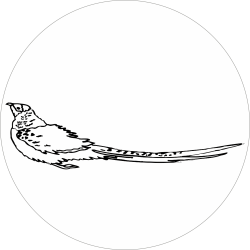 Adhésif tête animal -...