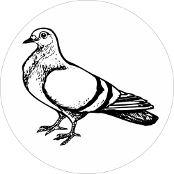 Adhésif tête animal -...