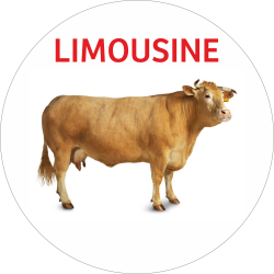 Adhésif Origine LIMOUSINE...