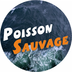 Adhésif Information Clientèle - Poisson Sauvage fond mer