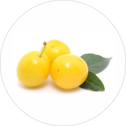 Adhésif Décor Fruit - Prune...