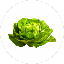 Adhésif Décor Légumes -...