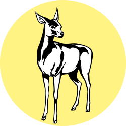 Adhésif Traçabilité Animale...