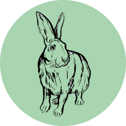 Adhésif Traçabilité Animale...