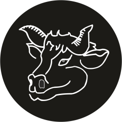 Adhésif tête animal - Vache...