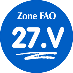 Adhésif Zone de pêche FAO -...