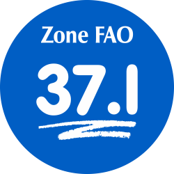 Adhésif Zone de pêche FAO -...