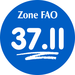 Adhésif Zone de pêche FAO -...